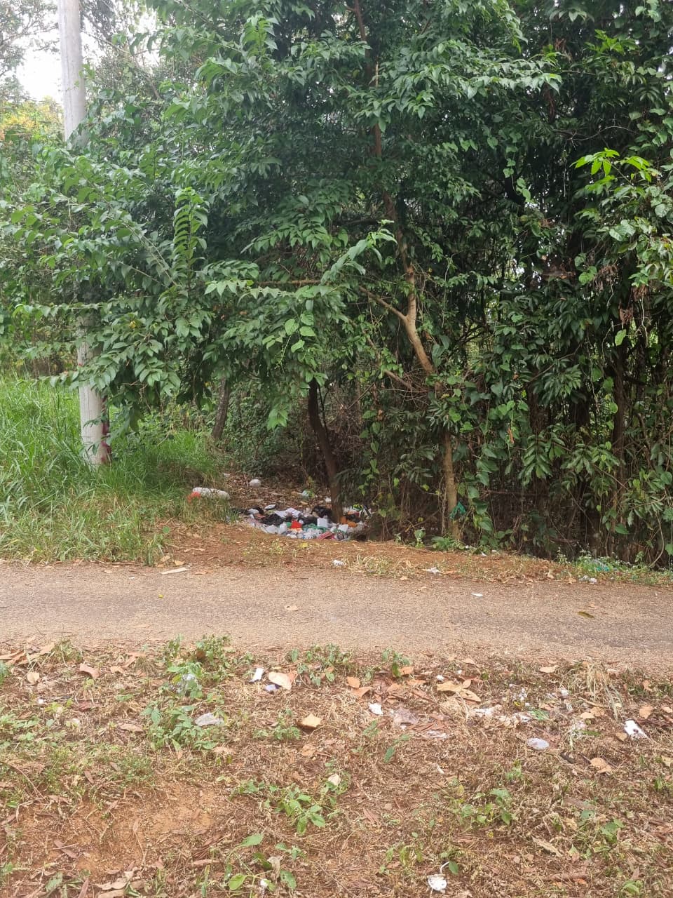 Descarte irregular na beira da estrada